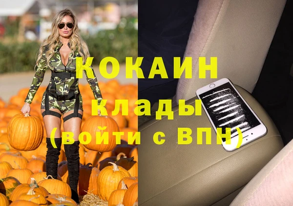 индика Янаул