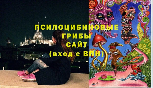 экстази Нея