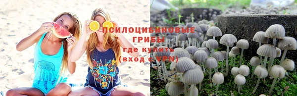 эйфоретик Белокуриха